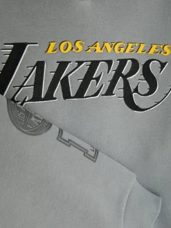 New Primark Sweat à Capuche NBA LA Lakers Gris foncé