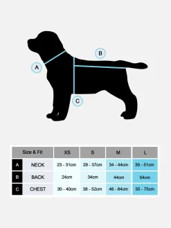 New Primark Tenue Citrouille Halloween Pour Animal De Compagnie Multicolore